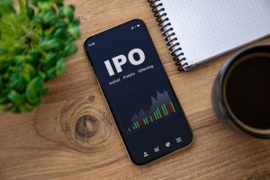 IPO Journey India